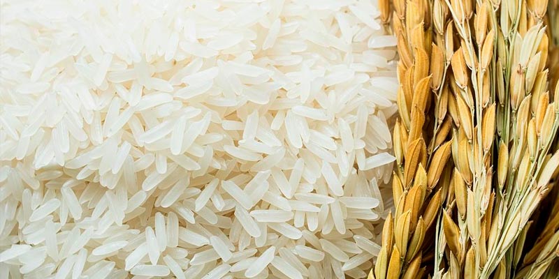Alimentate saludablemente